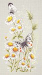 (image for) Summer Glade